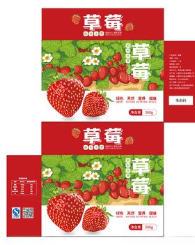 草莓包装设计