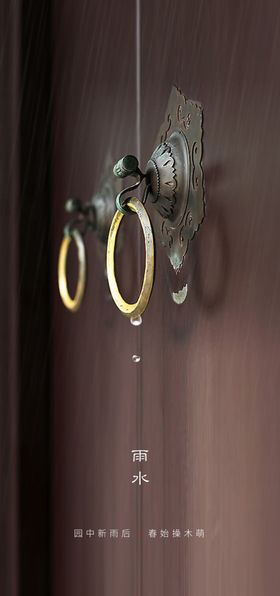雨水节气海报