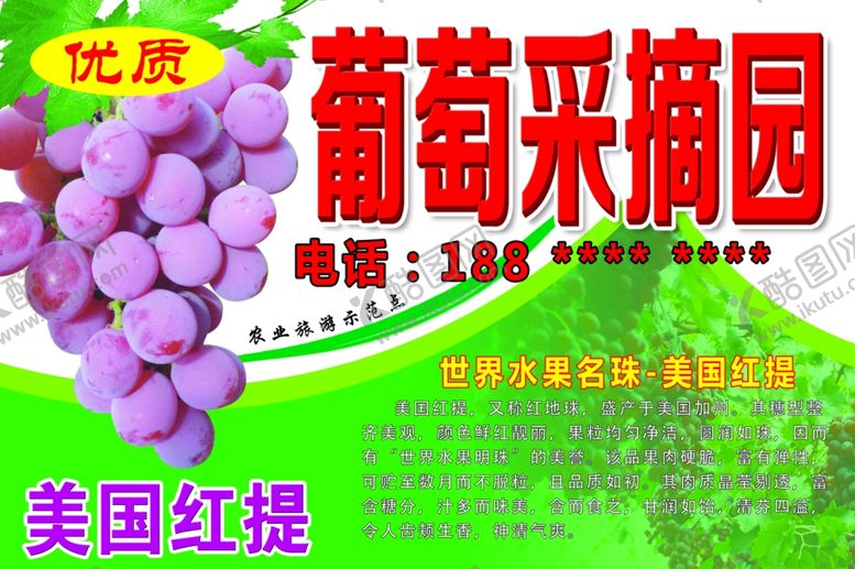 编号：35639504100955255639【酷图网】源文件下载-葡萄采摘园