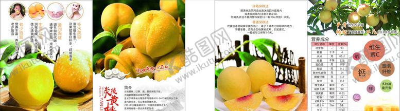 编号：74705207030745424843【酷图网】源文件下载-黄桃折页
