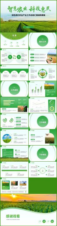 绿色智慧农业工作汇报模板