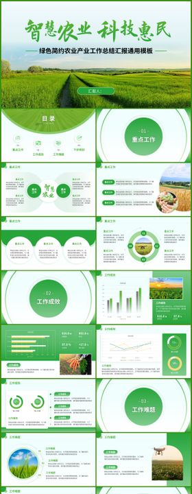 大气绿色简约智慧农业方案PPT