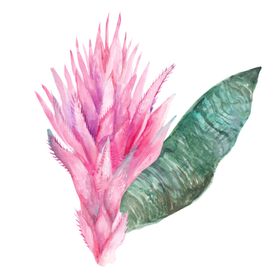 夏日热带水彩花朵