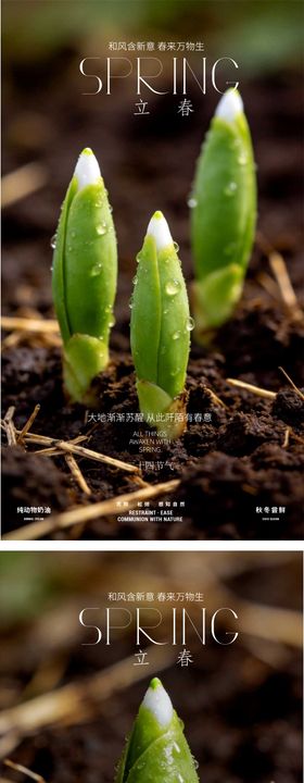 立春发芽萌芽海报