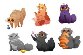 各种猫咪
