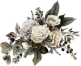 装饰花png