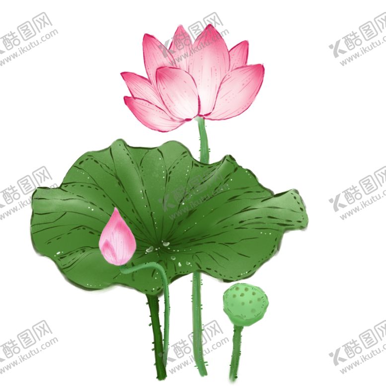 编号：41756304181042092996【酷图网】源文件下载-荷花元素