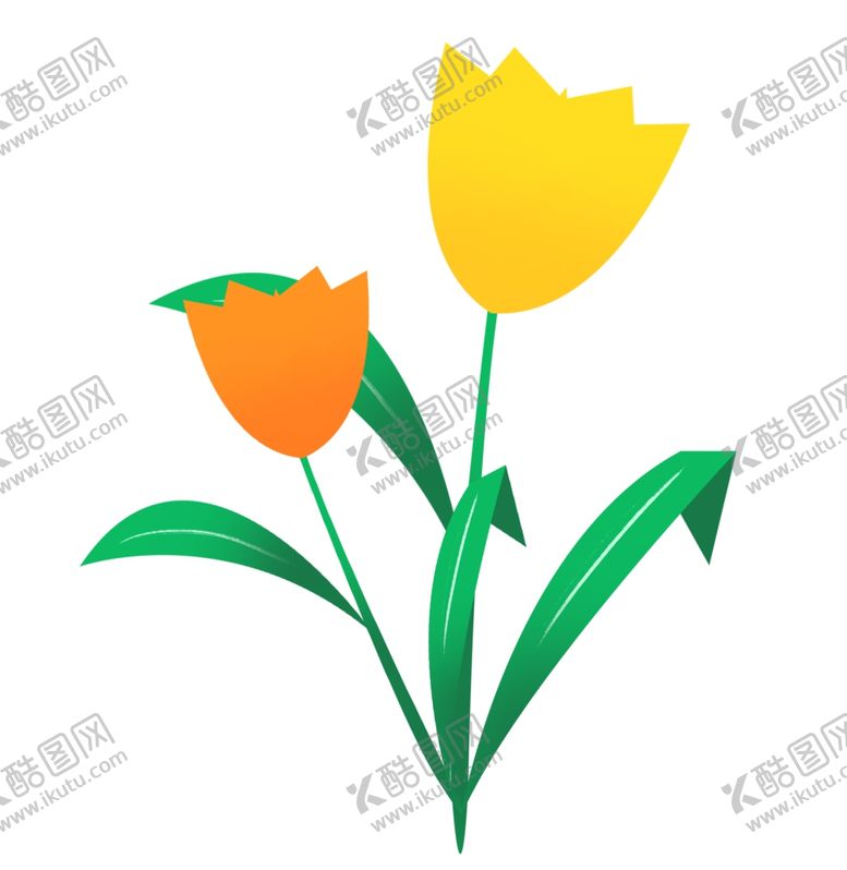 编号：47673609210343591184【酷图网】源文件下载-卡通郁金香