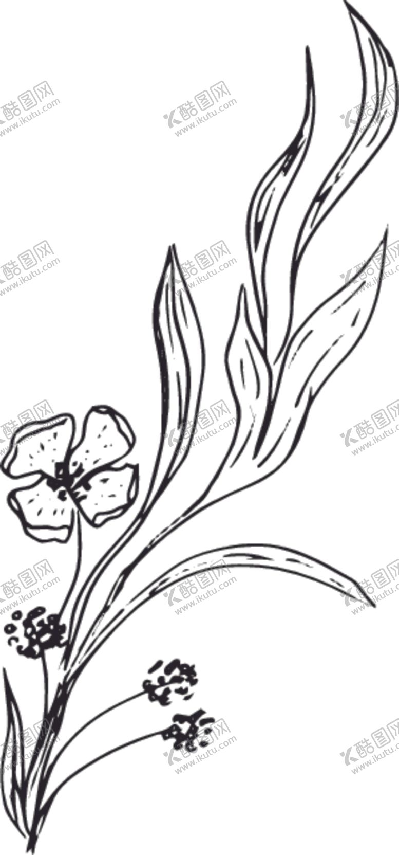 编号：58138909202353369985【酷图网】源文件下载-手绘花卉元素