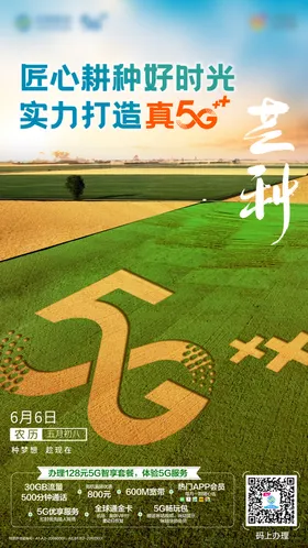 芒种节气海报麦田创意二十四