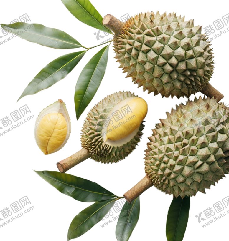 编号：47768302172123099389【酷图网】源文件下载-高清水果免抠图素材