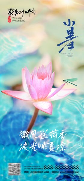 立夏大暑节气海报
