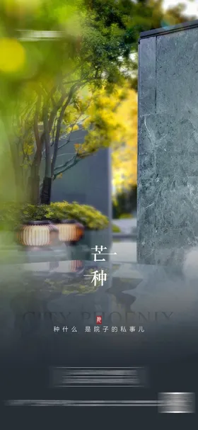 地产芒种海报