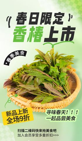 春日限定香椿上市特惠