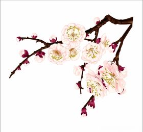 中国风梅花