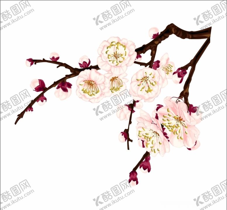 编号：65586205100141589766【酷图网】源文件下载-中国风梅花