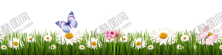 编号：31371110280735091768【酷图网】源文件下载-绿色背景