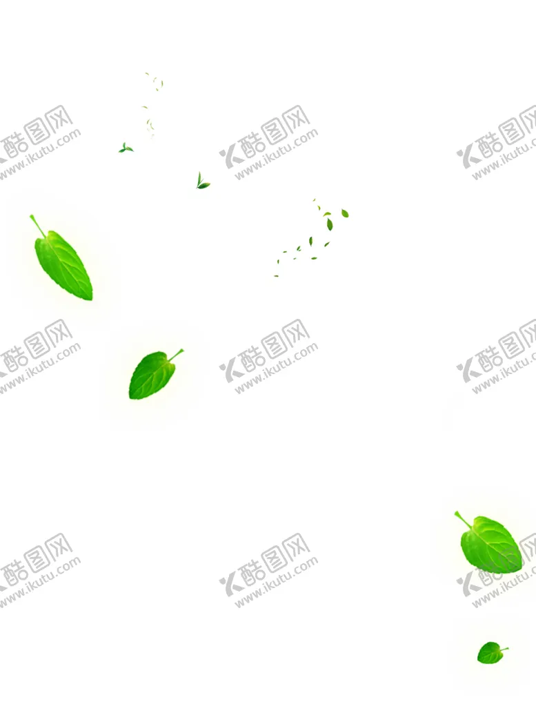 编号：87296006290625509001【酷图网】源文件下载-飘落的绿叶