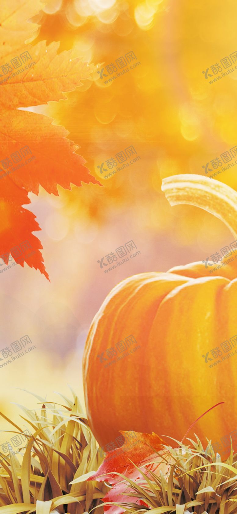 编号：27993609190322034400【酷图网】源文件下载-手机壁纸