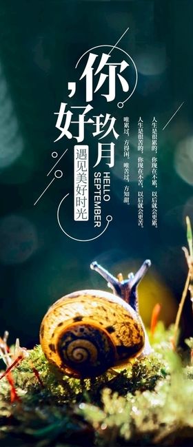 你好九月