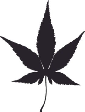 植物系列掌形树叶