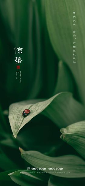 惊蛰大叶子春天节气
