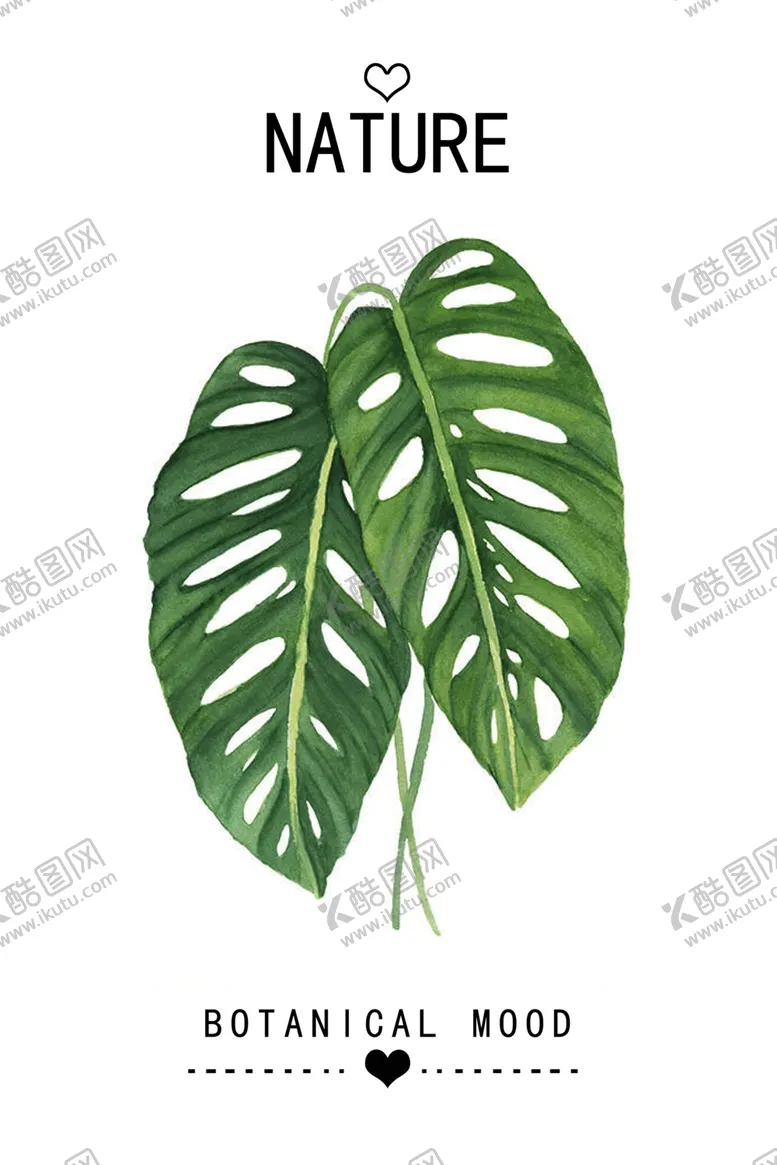 编号：73003306272131301327【酷图网】源文件下载-植物装饰画图片