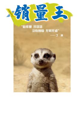 销量王