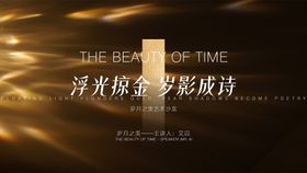 灰金色质感主画面