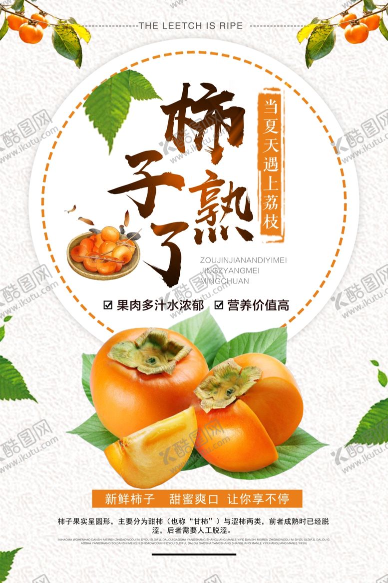 编号：97463210310317397549【酷图网】源文件下载-柿子熟了