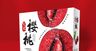 樱桃礼盒 车厘子礼盒