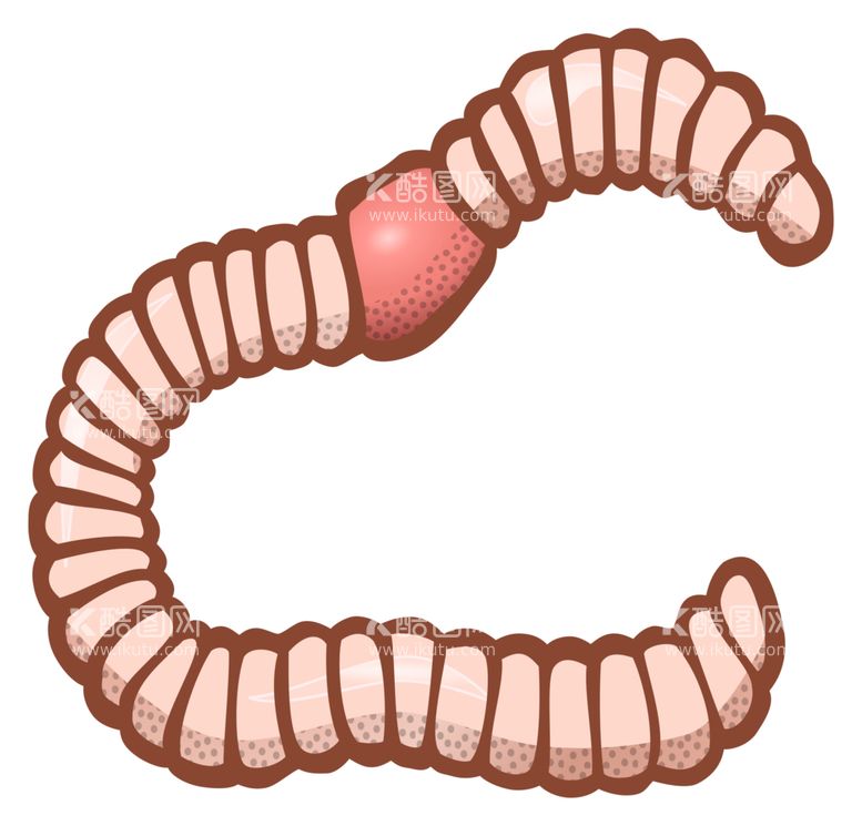 编号：78388712221541468081【酷图网】源文件下载-蚯蚓 