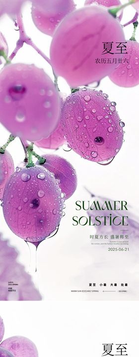 夏至节气果实海报
