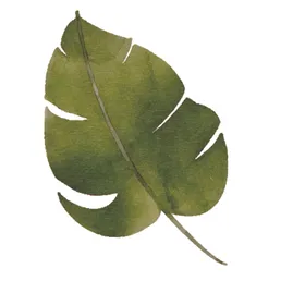 绿色水彩植物树叶