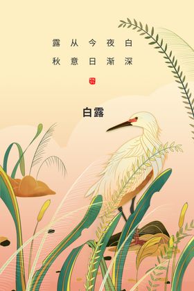 白露节气活动素材海报