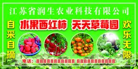 肥桃采摘园