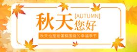 秋季美团店招banner