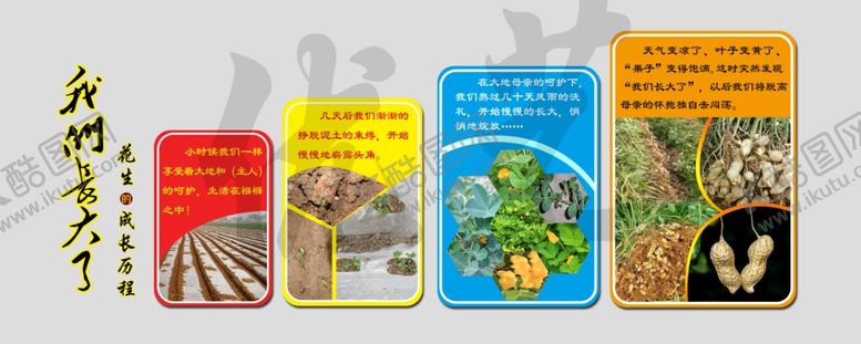 编号：92998205150030056327【酷图网】源文件下载-海报花生展板