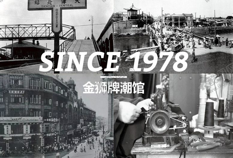 编号：51256401190817173469【酷图网】源文件下载-金狮牌潮馆LOGO品牌