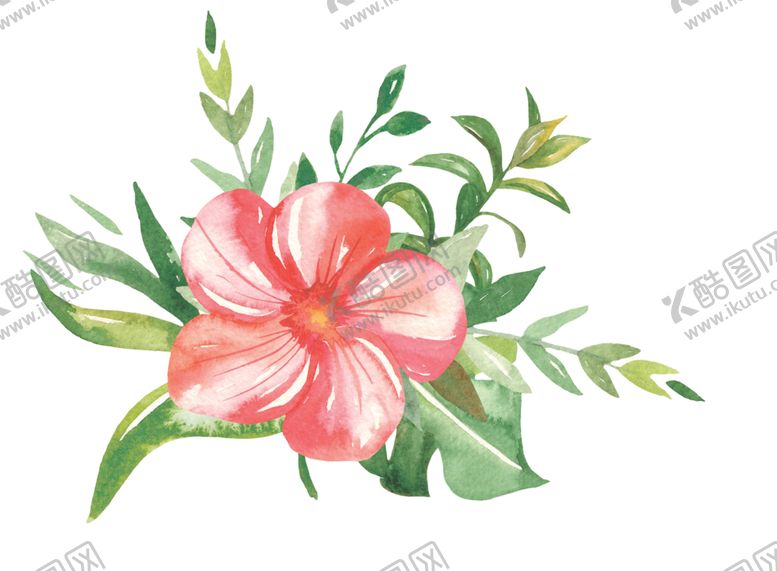编号：56193209240438161985【酷图网】源文件下载-水彩植物花朵图案