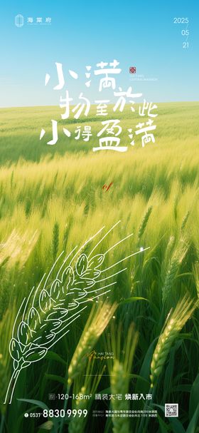 地产小满节气海报