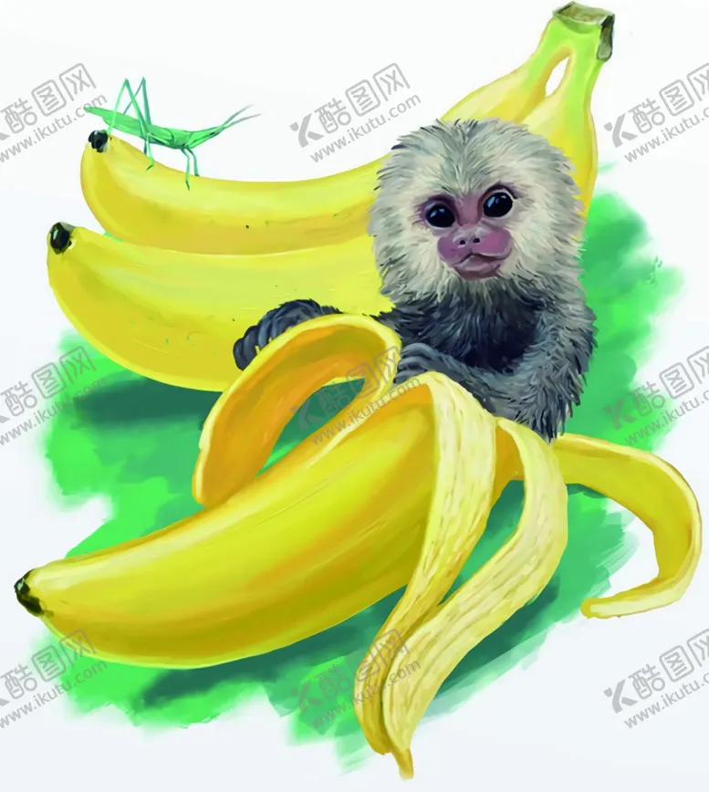 编号：71370202120056009486【酷图网】源文件下载-香蕉猴子