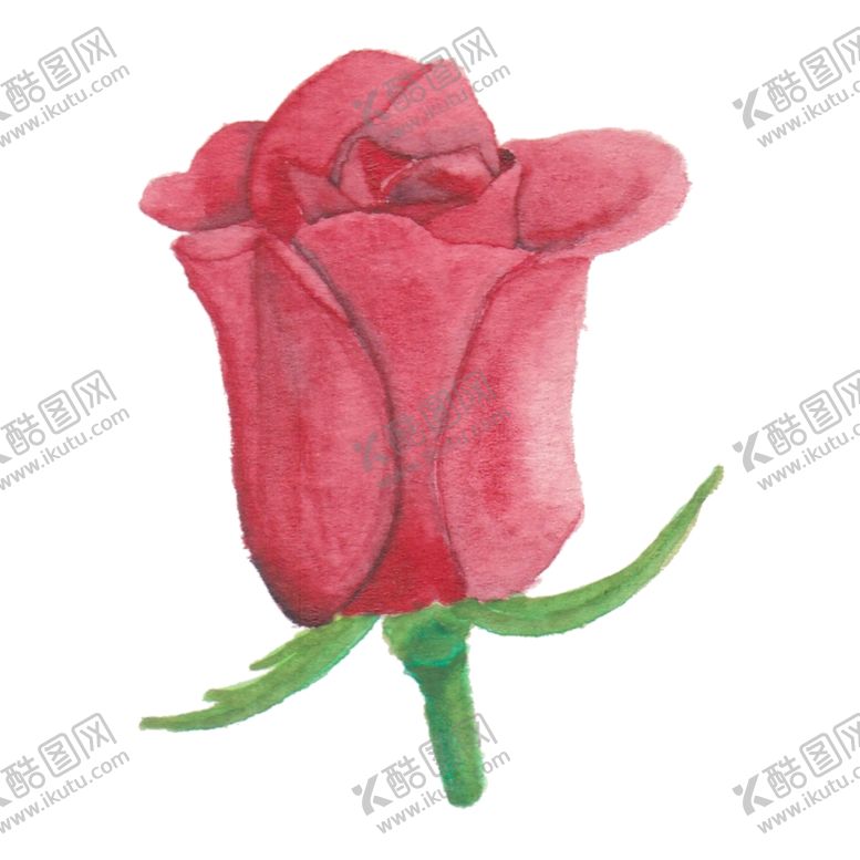 编号：79771007052306327550【酷图网】源文件下载-玫瑰花
