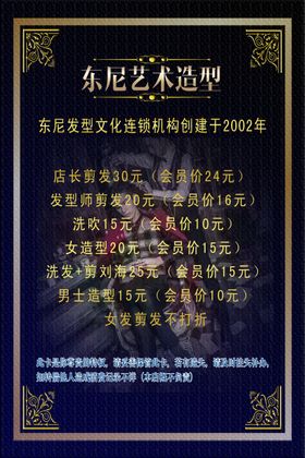会员海报  美发VIP