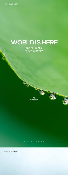 雨水节气地产海报