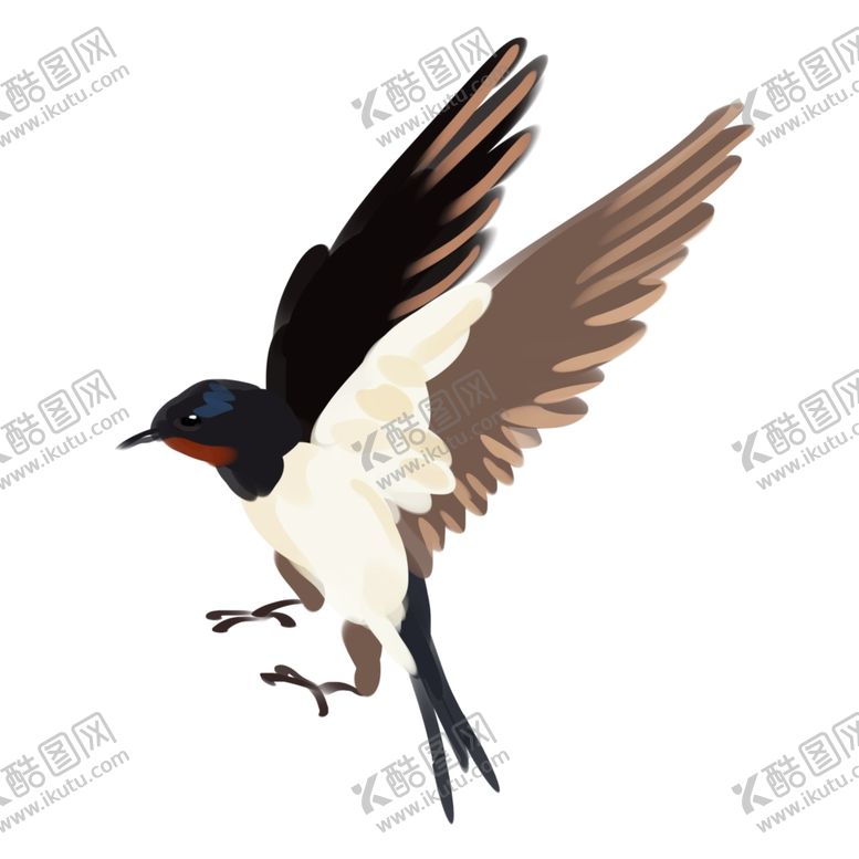编号：43687410072230259373【酷图网】源文件下载-燕子插画