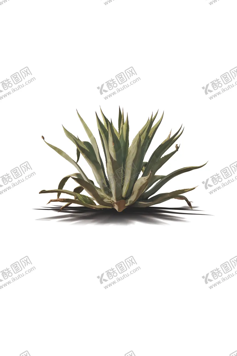 编号：95158305180655173888【酷图网】源文件下载-芒刺