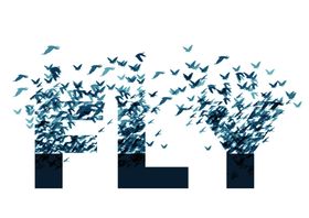 飞FLY