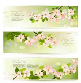 春日樱花横幅设计