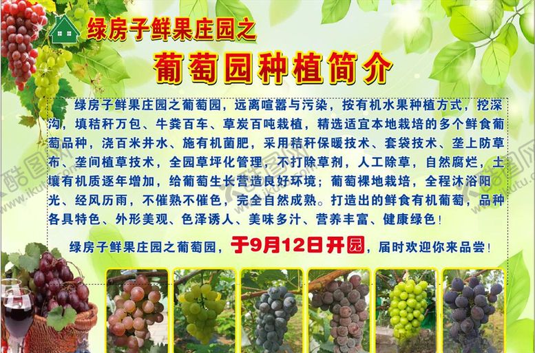 编号：82113310112101173017【酷图网】源文件下载-葡萄简介